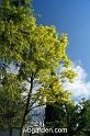 wbgarden spring 61
